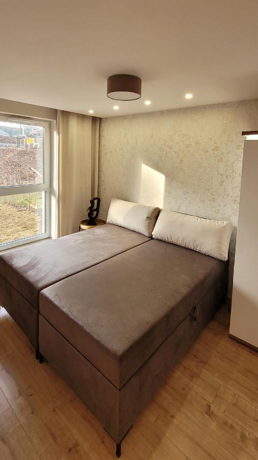 Sloneczny Apartament Z Ogrodkiem 格但斯克 外观 照片