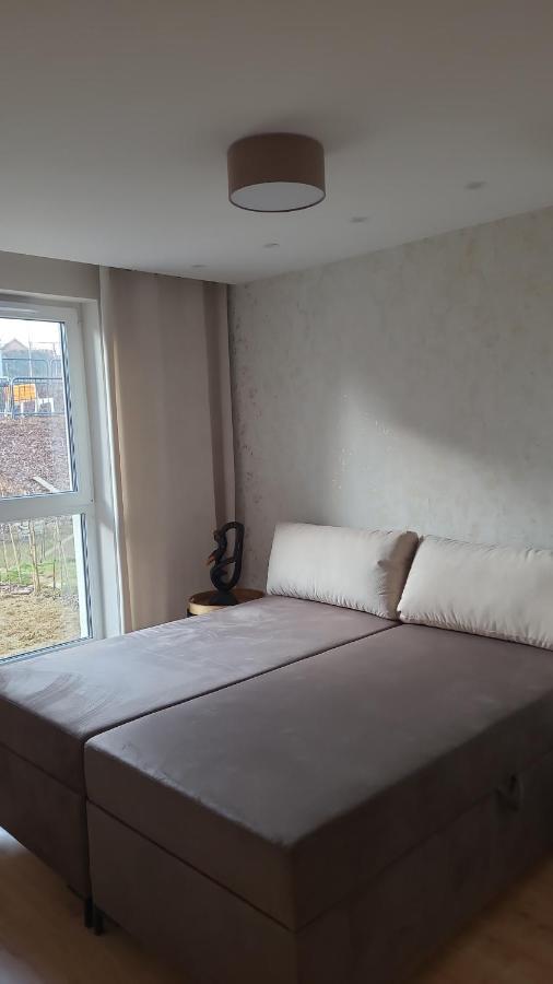 Sloneczny Apartament Z Ogrodkiem 格但斯克 外观 照片