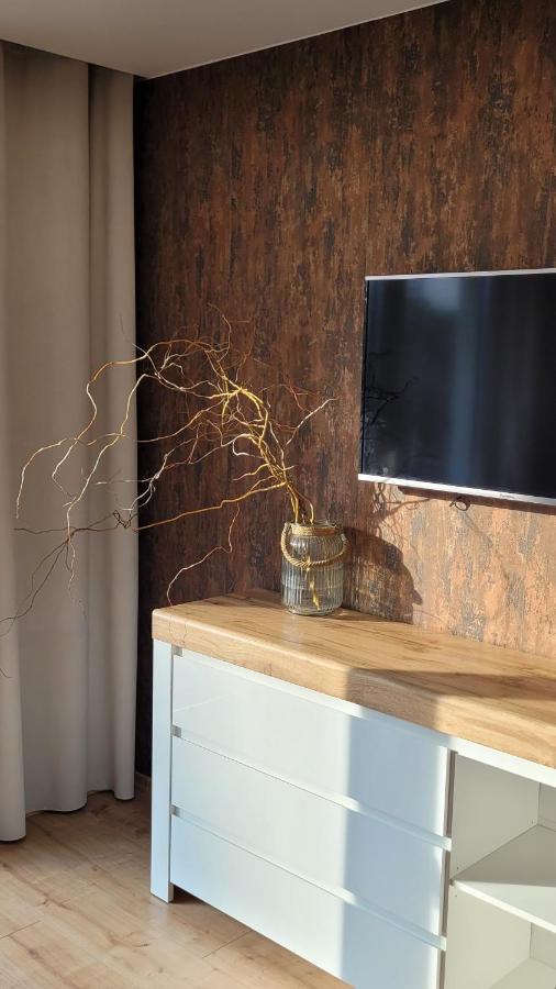 Sloneczny Apartament Z Ogrodkiem 格但斯克 外观 照片